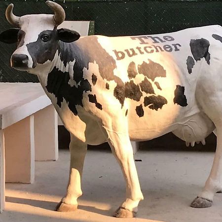 ボローニャThe Butcher-Ducati And Airport Blqアパートメント エクステリア 写真
